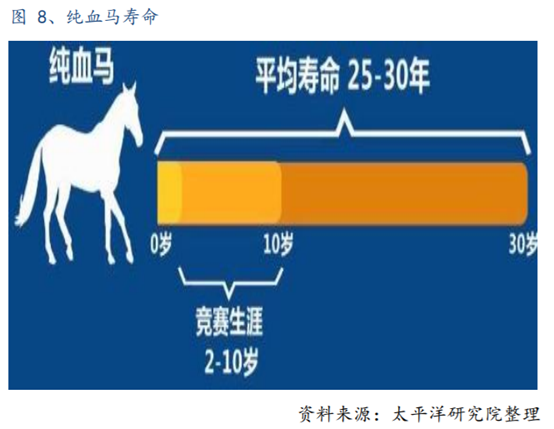 体育行业专题报告：历史悠久的赛马运动