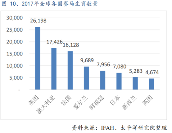 体育行业专题报告：历史悠久的赛马运动