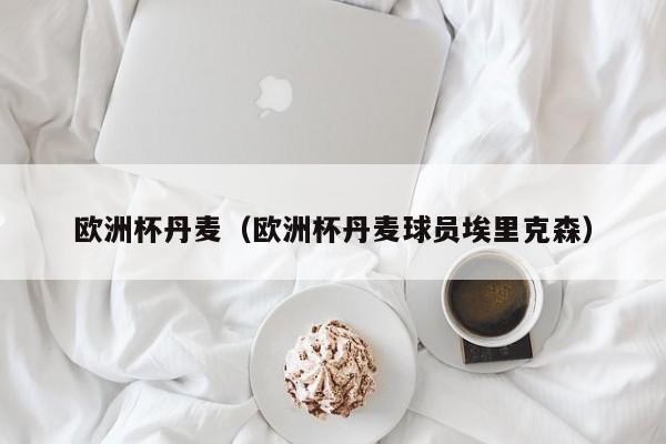 欧洲杯丹麦（欧洲杯丹麦球员埃里克森）